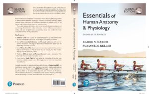 Essentials of Human Anatomy & Physiology, Global Edition, 12th Edition