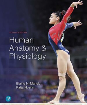 Human Anatomy and Physiology by Elaine N. Marieb, Katja Hoehn