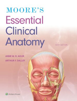 Moores essential clinical anatomy by Keith L. Moore A. M. R. Agur II Arthur F. Dalley Keith L. Moore