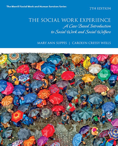 The Social Work Experience