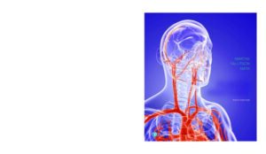 Hole's Essentials of Human Anatomy & Physiology 13th Edition | eBook PDF | |
