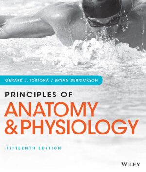 Seeley's Principles of Anatomy and Physiology 2nd Edition by Philip Tate