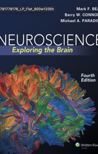 Cover of Neuroscience: Exploring the Brain 4th Edition