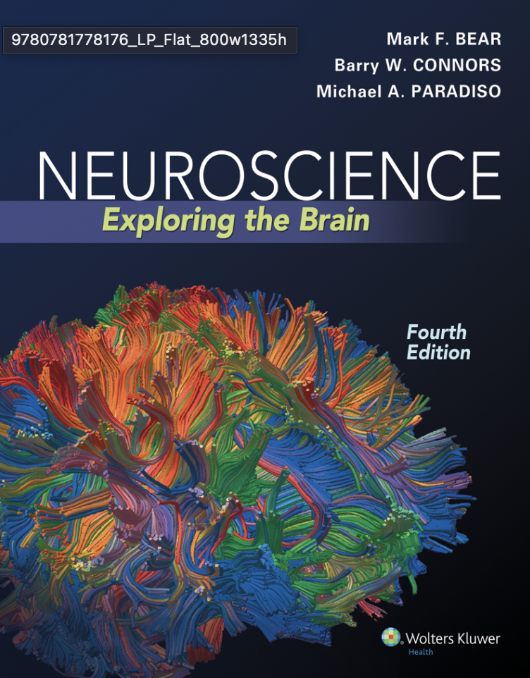 Cover of Neuroscience: Exploring the Brain 4th Edition