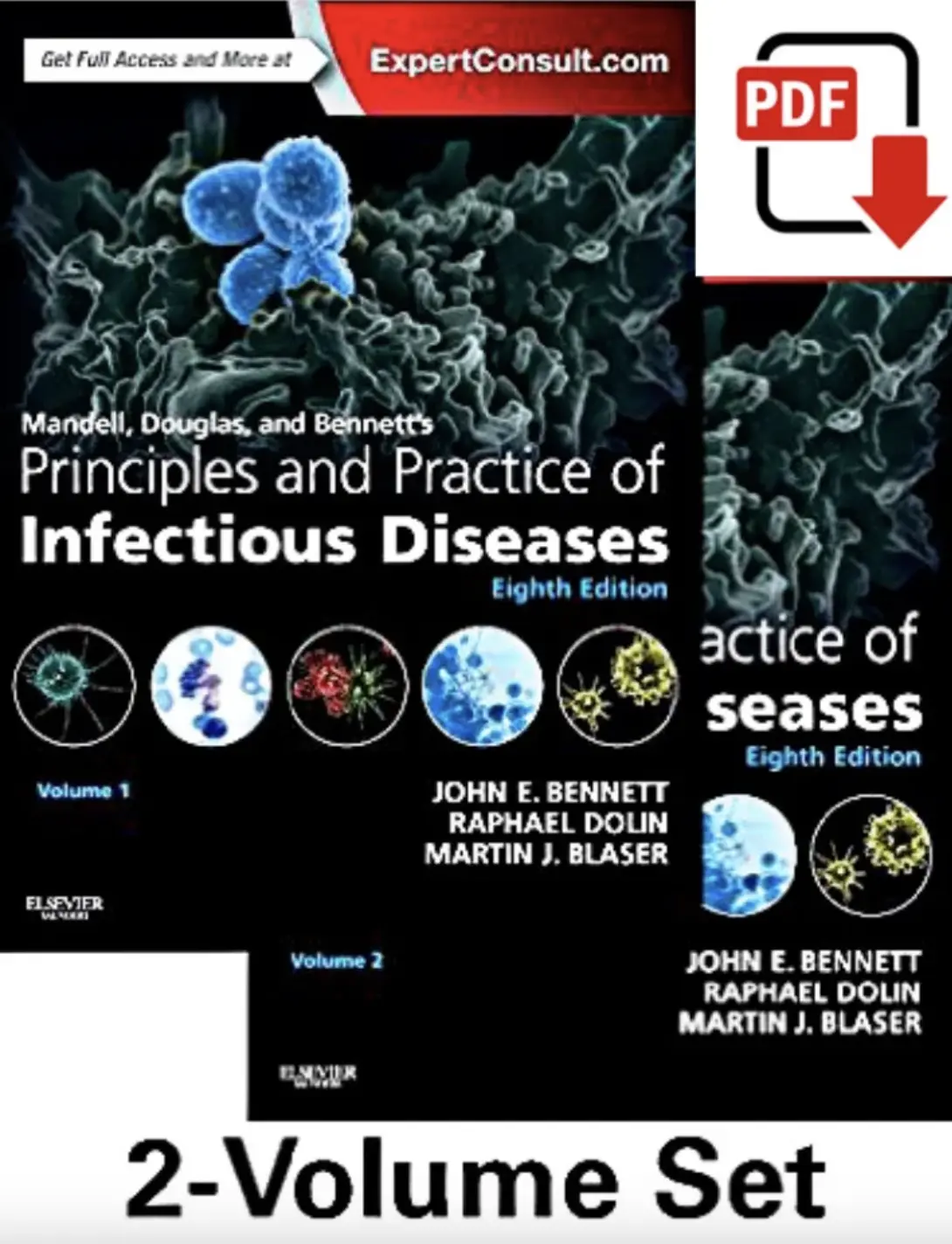 Download Principles and Practice of Infectious Diseases 8th Edition eBook PDF